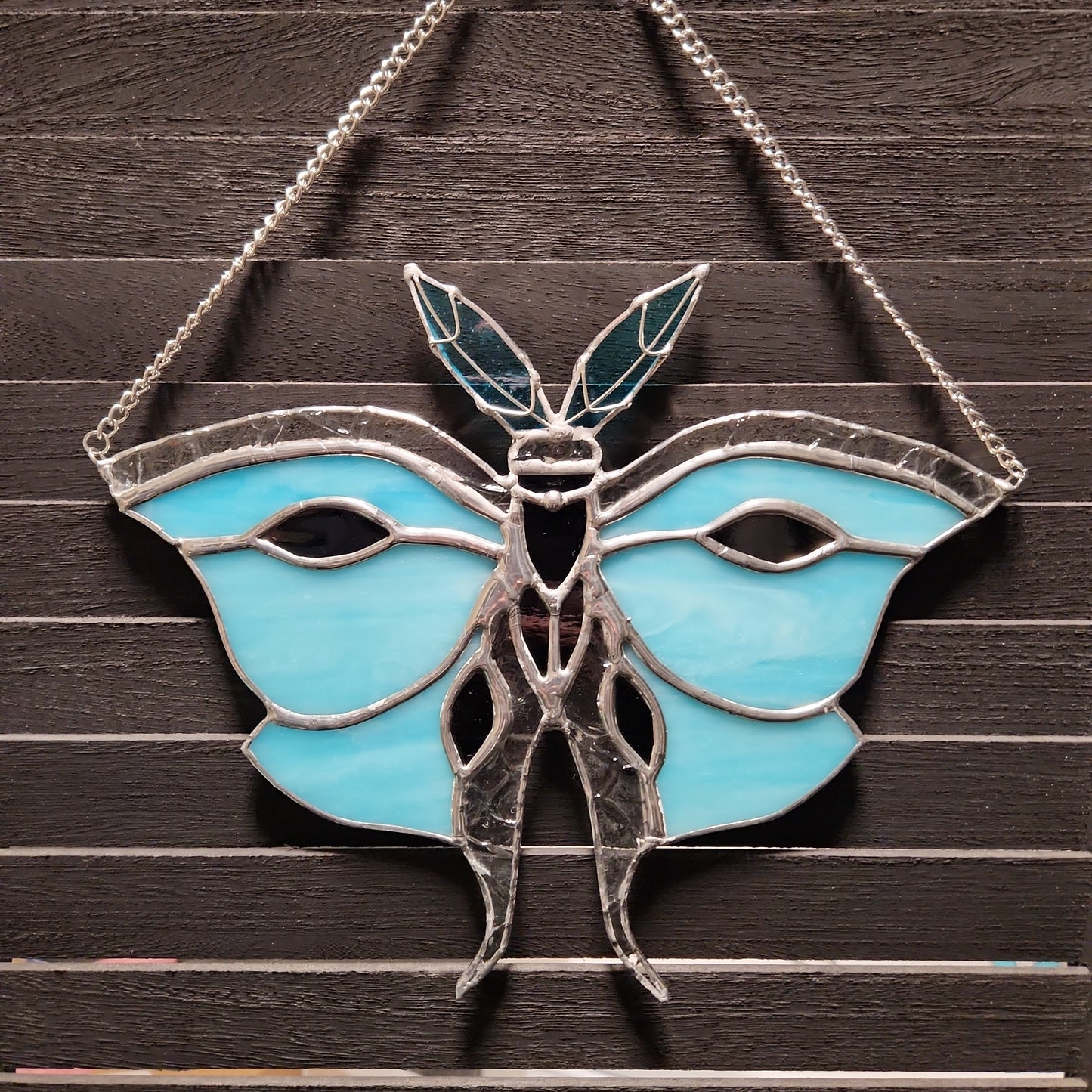 Moth